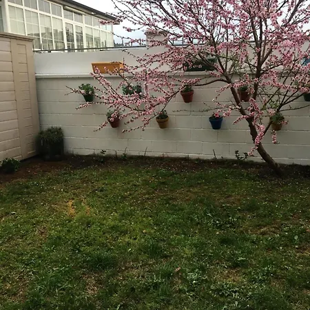 En Playa De Altar Lägenhet *